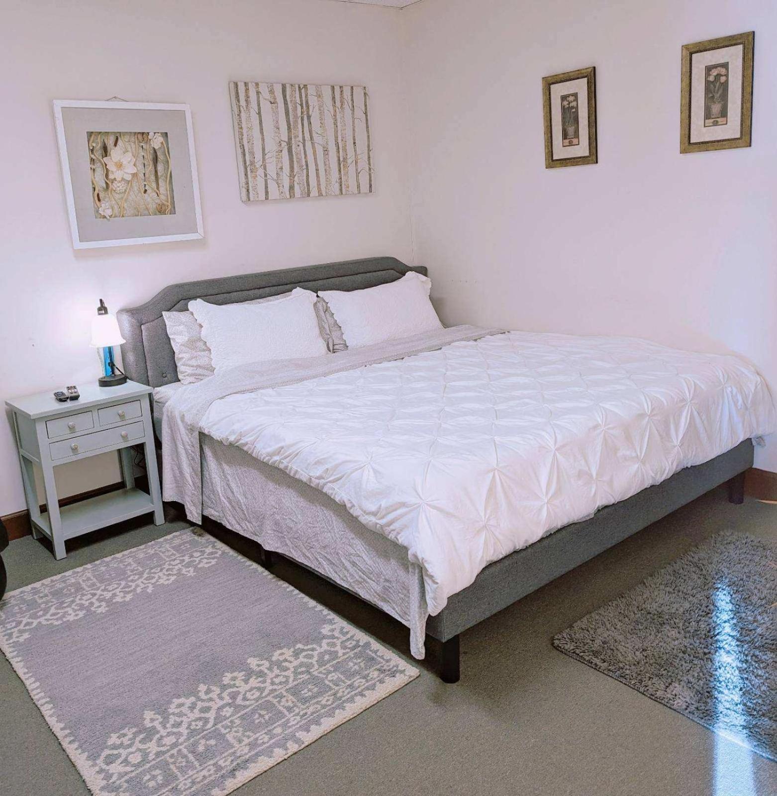 Uptown Area, Cozy King Suite, Quiet And Private, Free Parking, Walk To Restaurants Charlotte Extérieur photo